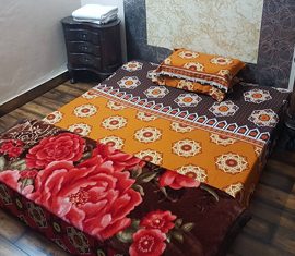Delhi-Cosy